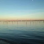 Magnifique Grand Plain-pied A 50 M De L'ocean, Surveillee De L Horizon, Cap Ferret Centre Lège-Cap-Ferret