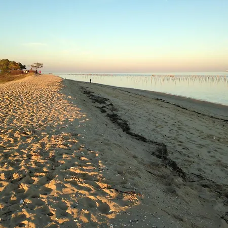 Magnifique Grand Plain-pied A 50 M De L'ocean, Surveillee De L Horizon, Cap Ferret Centre