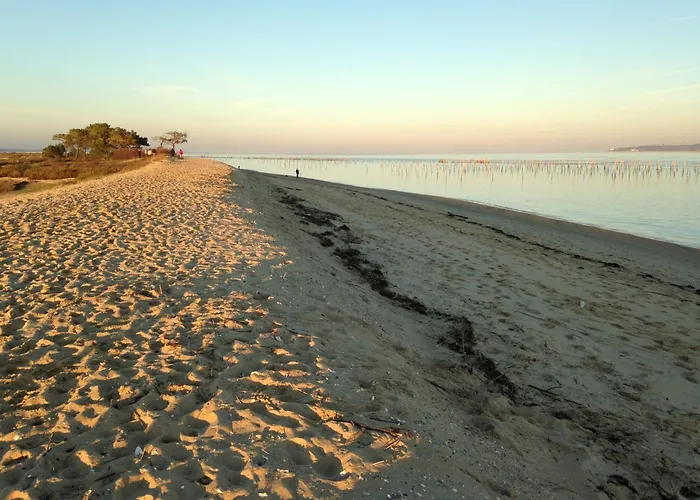 Magnifique Grand Plain-pied A 50 M De L'ocean, Surveillee De L Horizon, Cap Ferret Centre